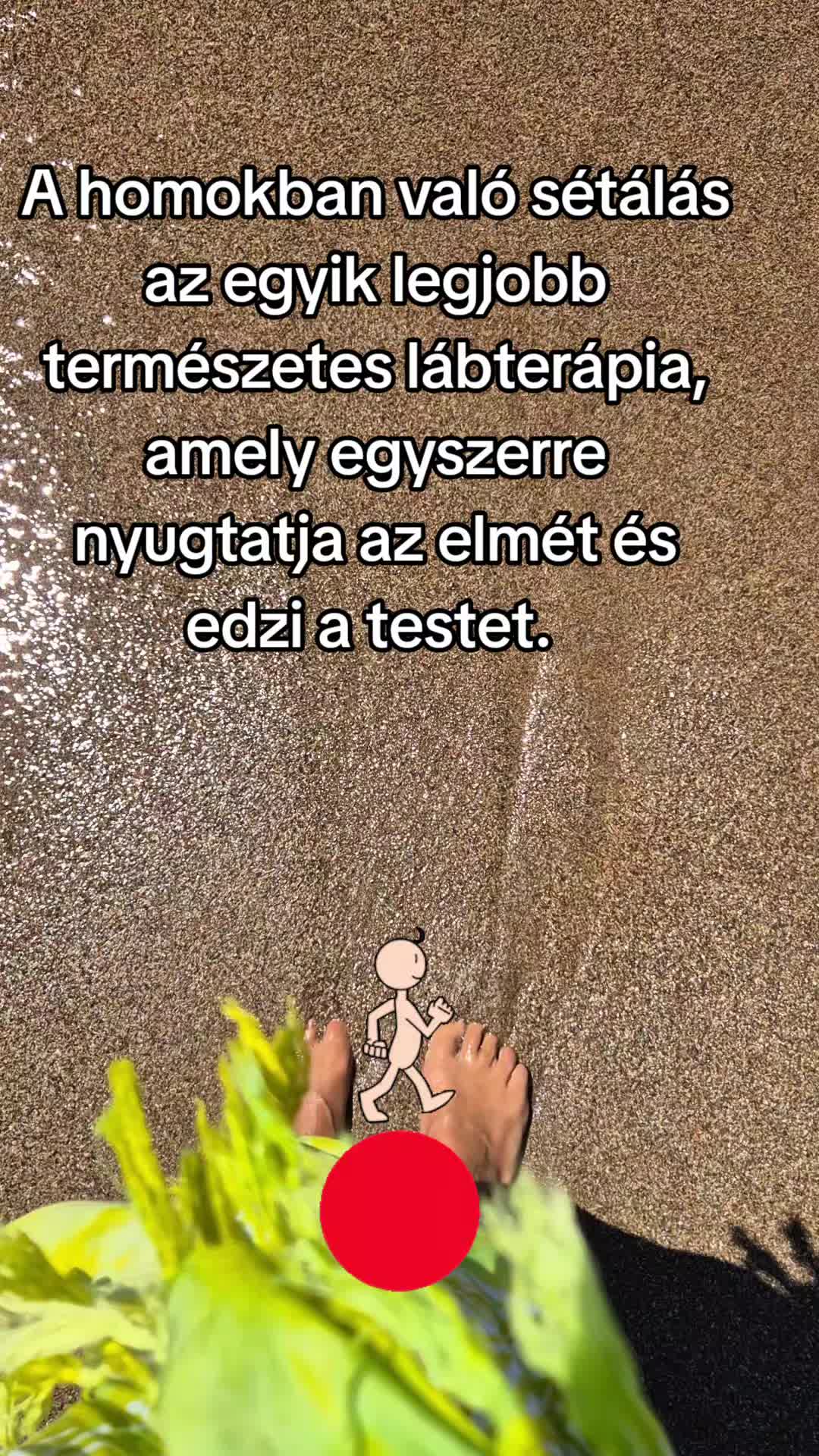 @napocskasugara