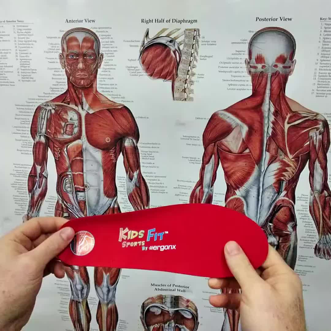 @ergonx