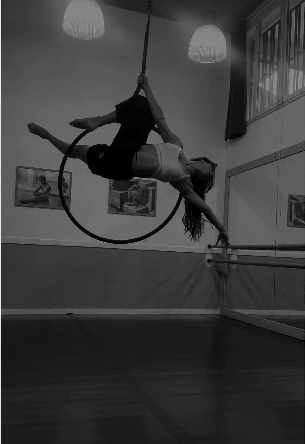 @aerialfedemo