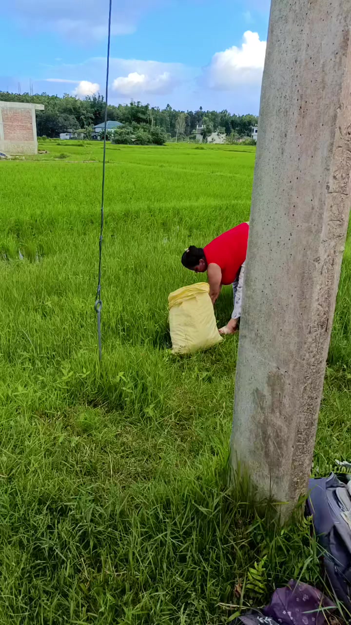 @mira Pokharel
