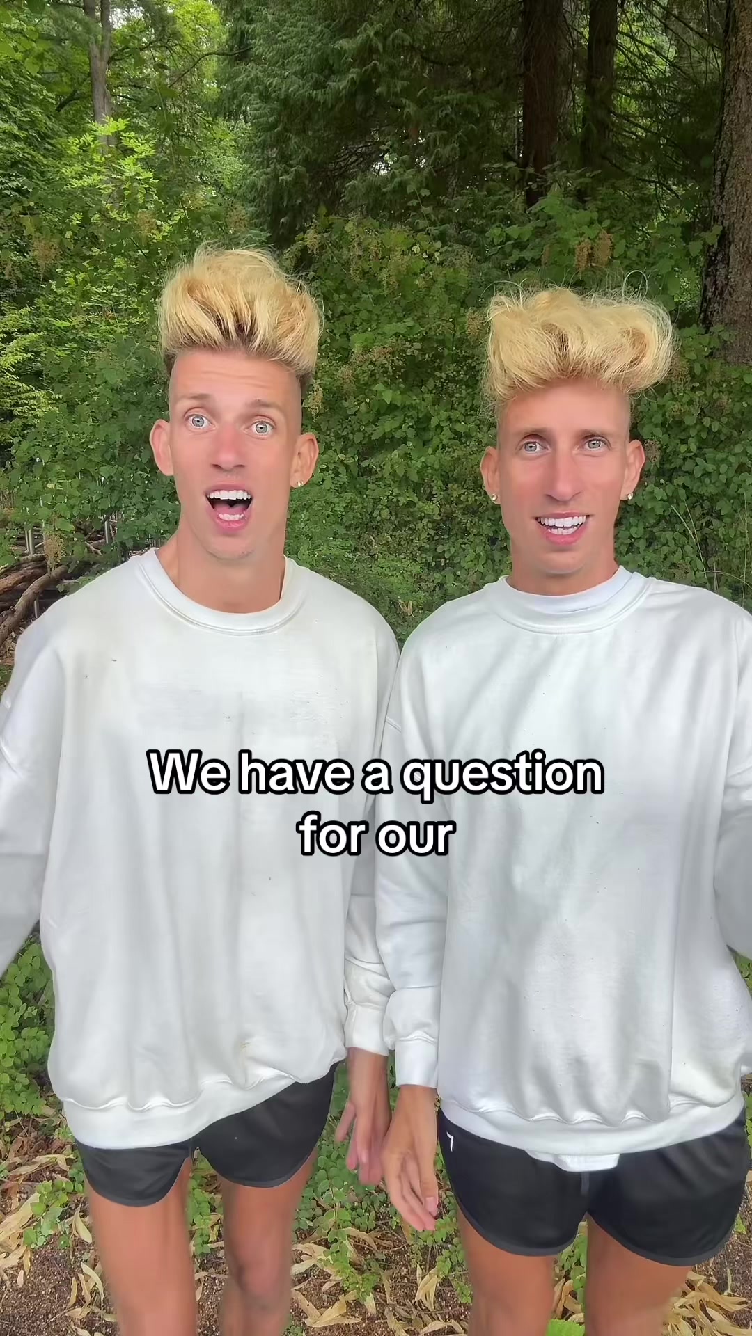 @vorostwins