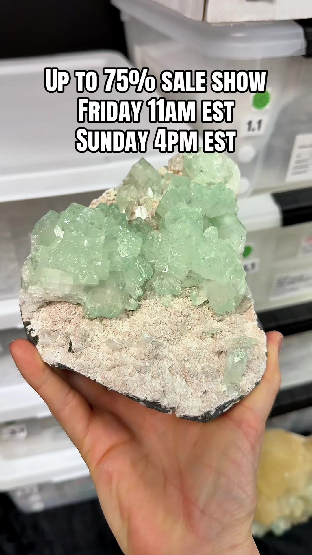 @Crystal Live Emporium✨Natalie