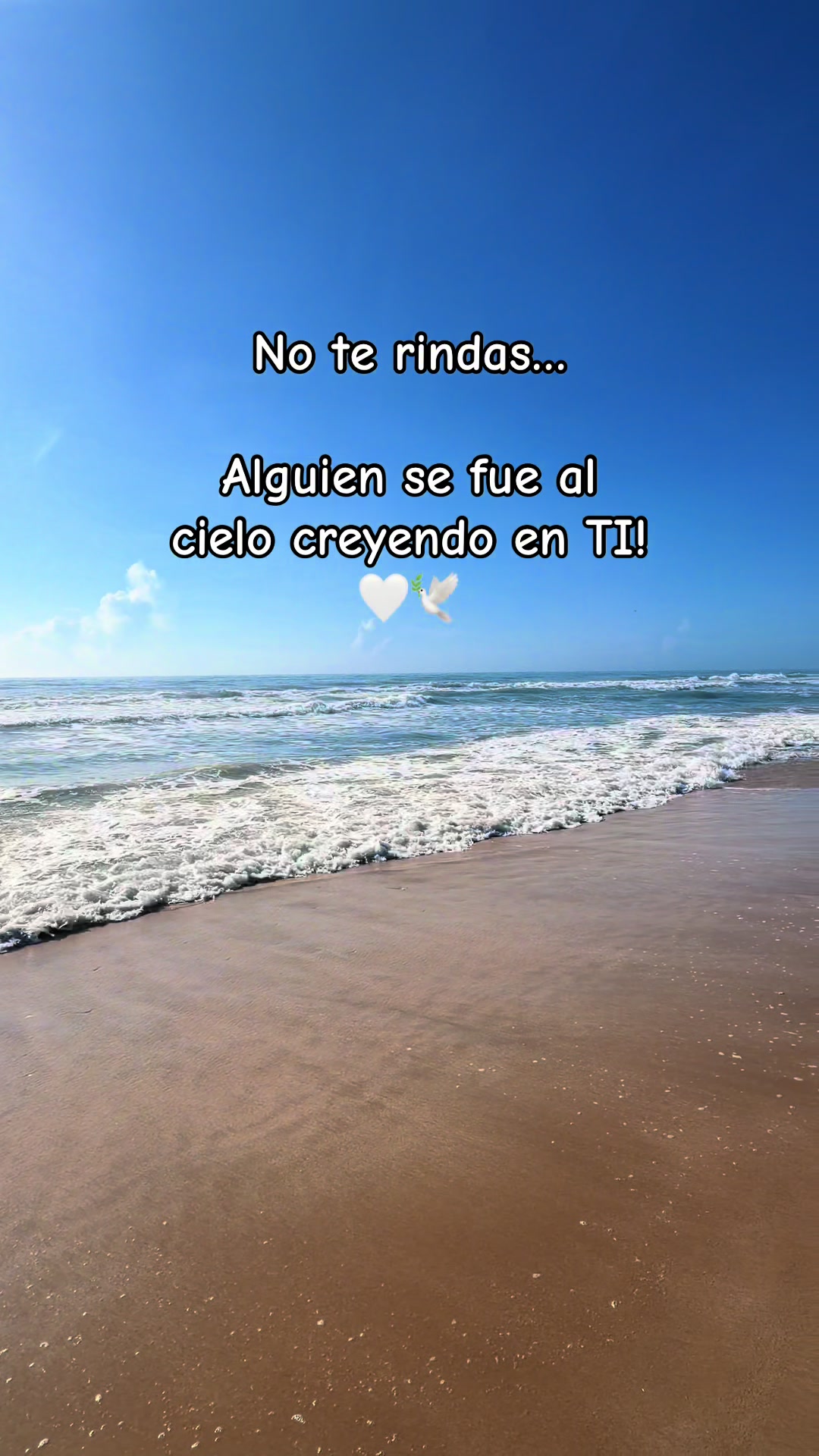 @✨Werita✨
