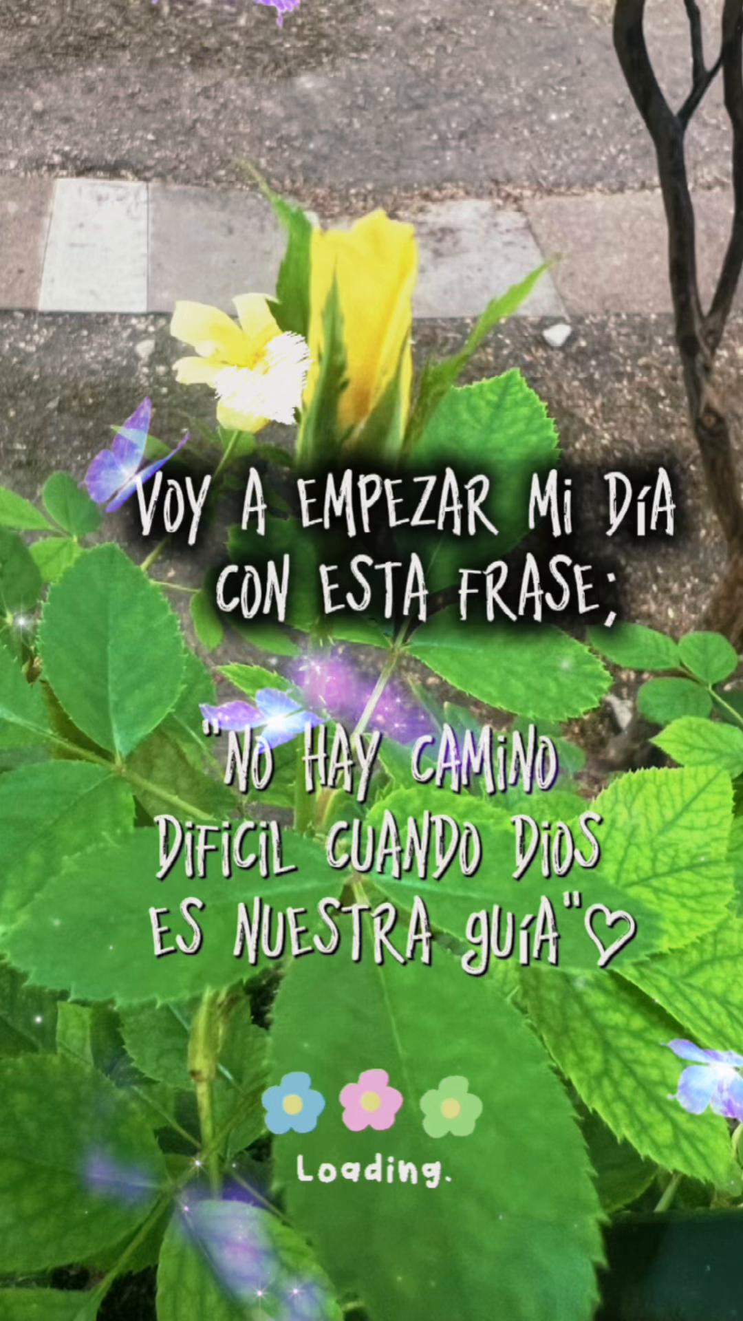 @🫶🏻🫶🏻Luisa Flores🫶🏻🫶🏻