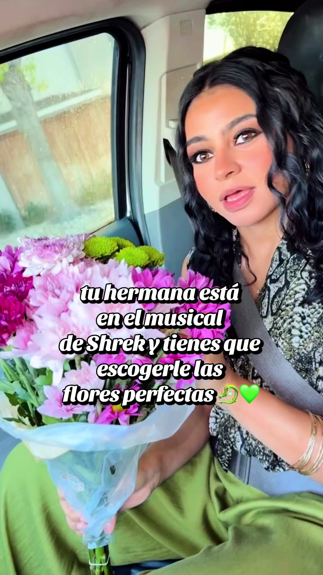 @sofialopezviolinist