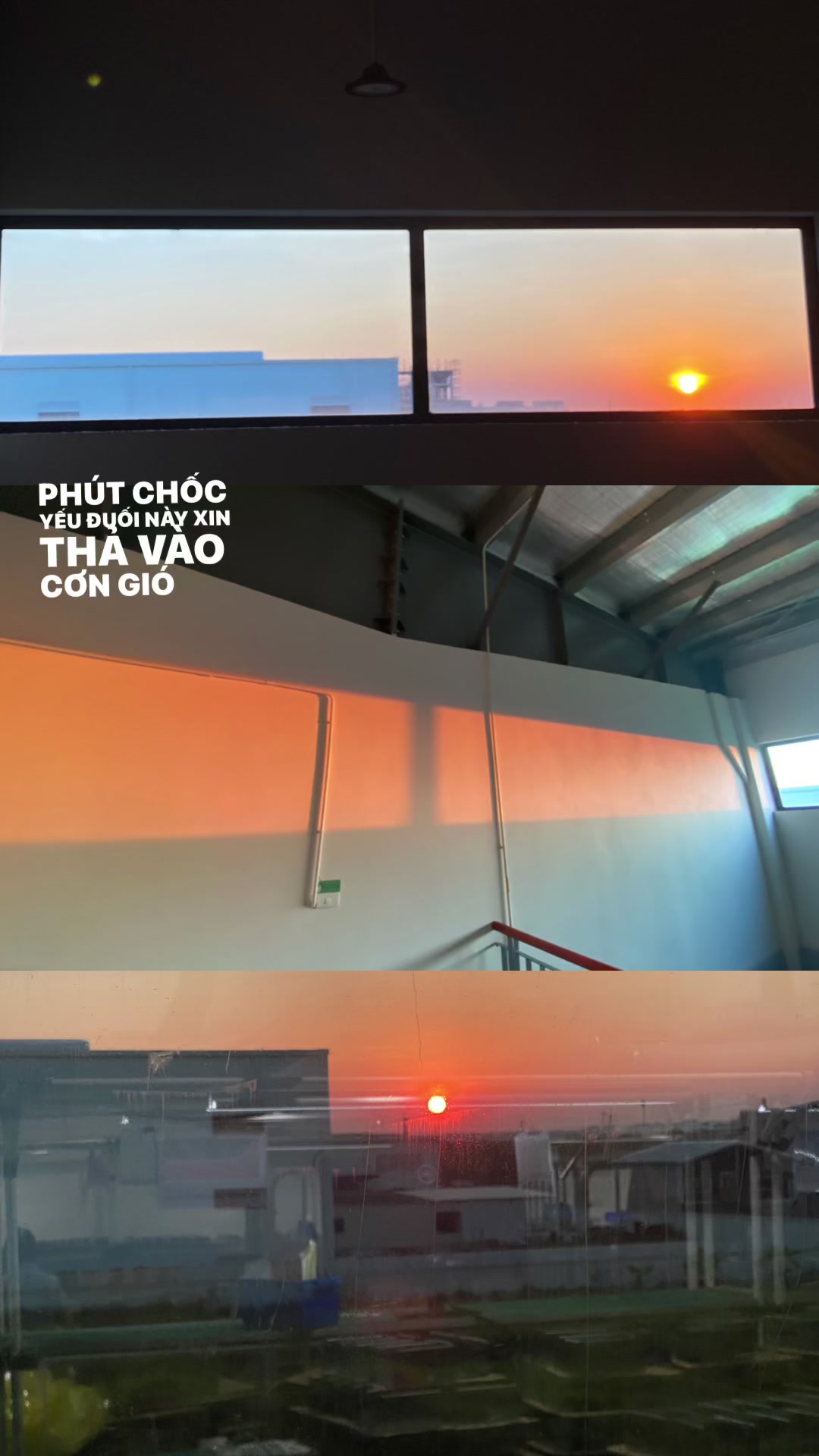 @NGOC.ONE