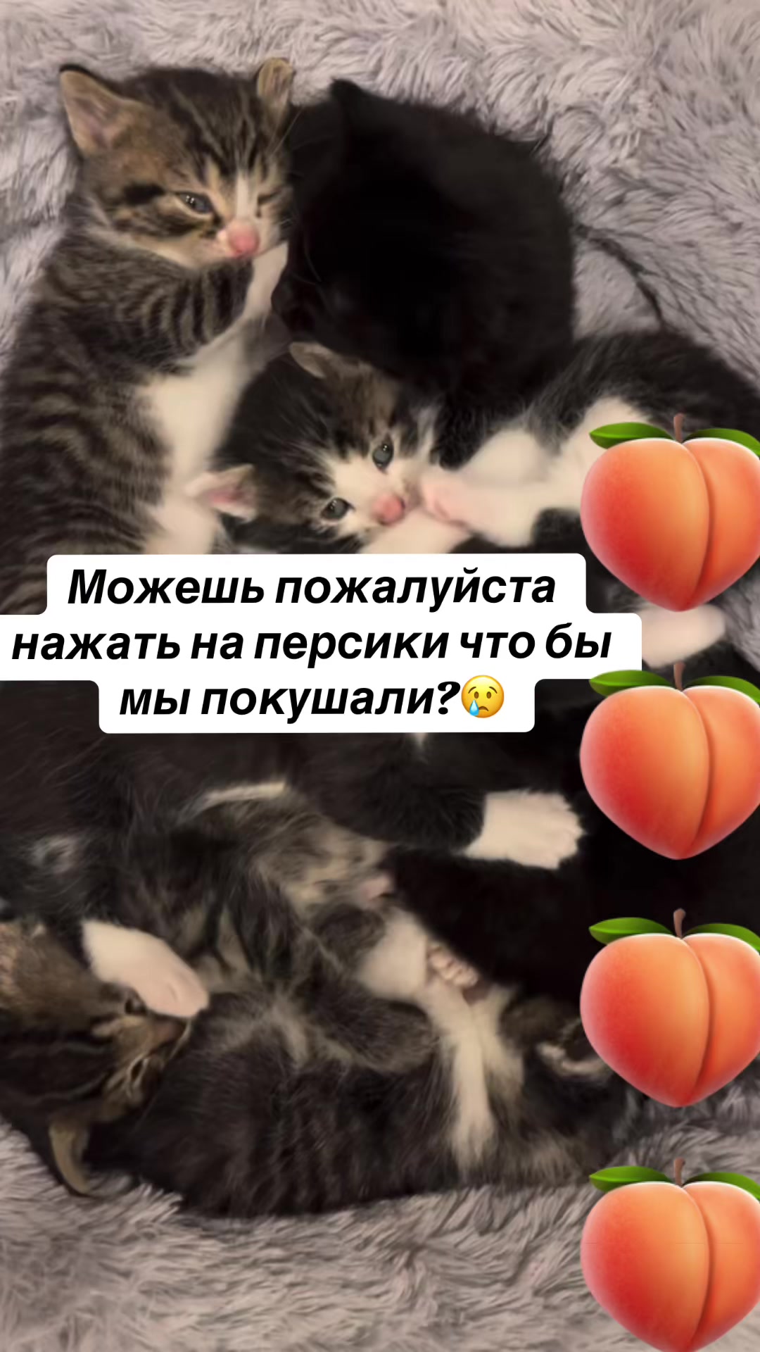 @kaboompriut