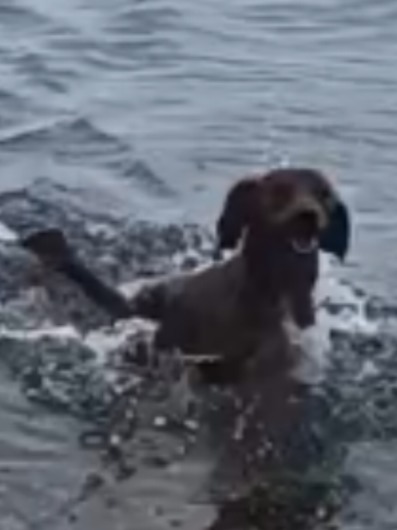 @🐕Mountain Bertie 🐕