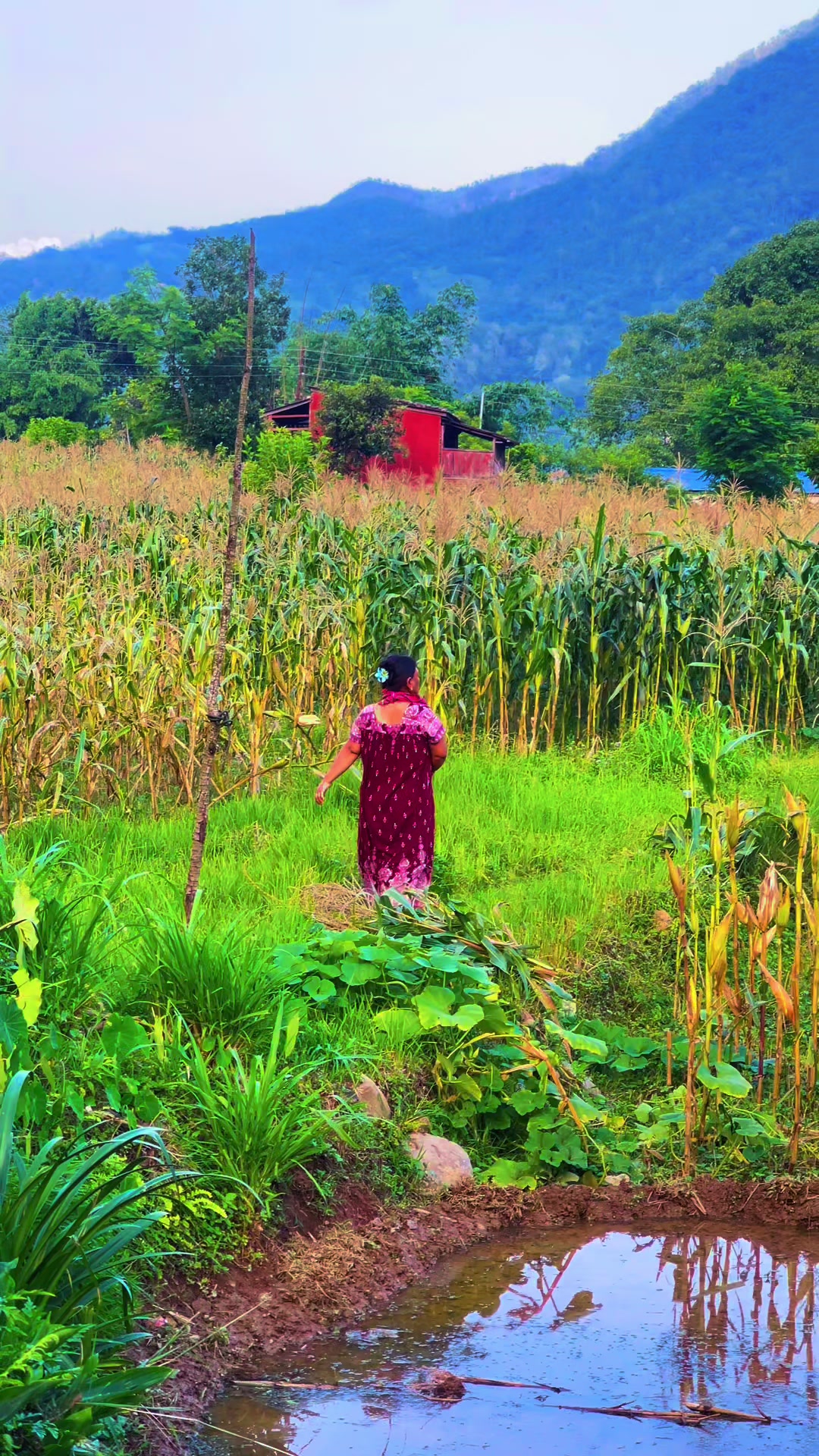 @सागर गुरुङ्