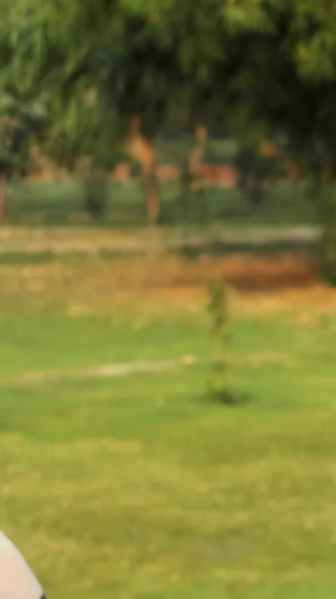 @Filmy Yaarana