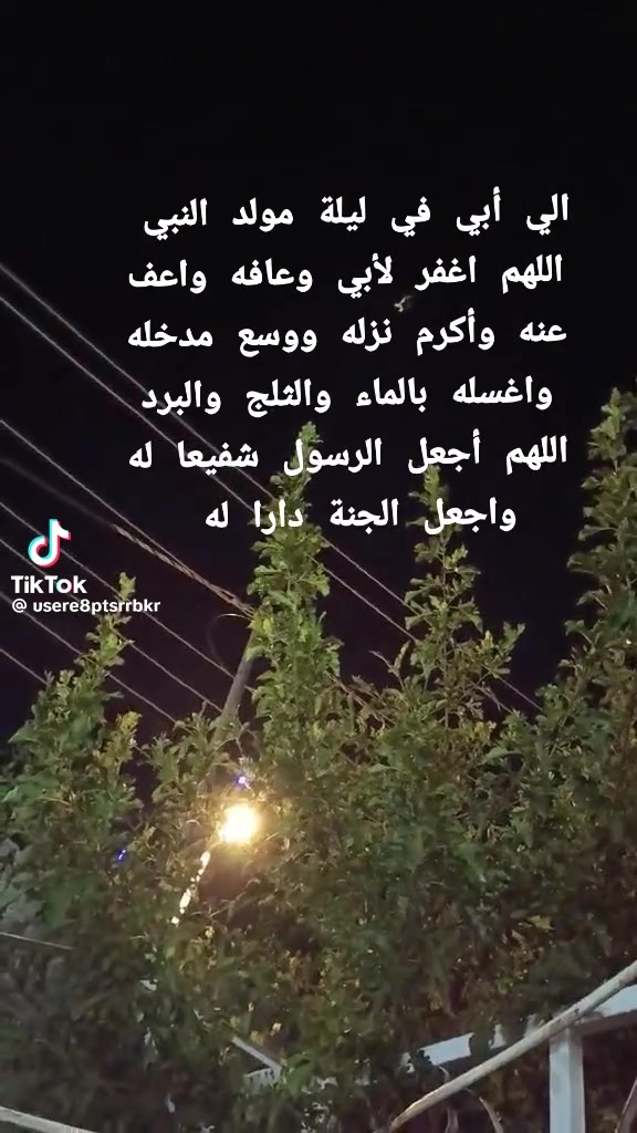 @Amouna Dridi
