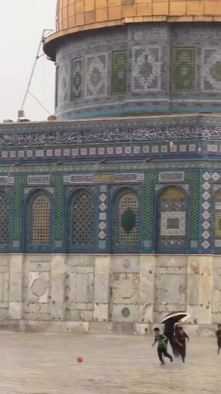 @qaimdinsultan