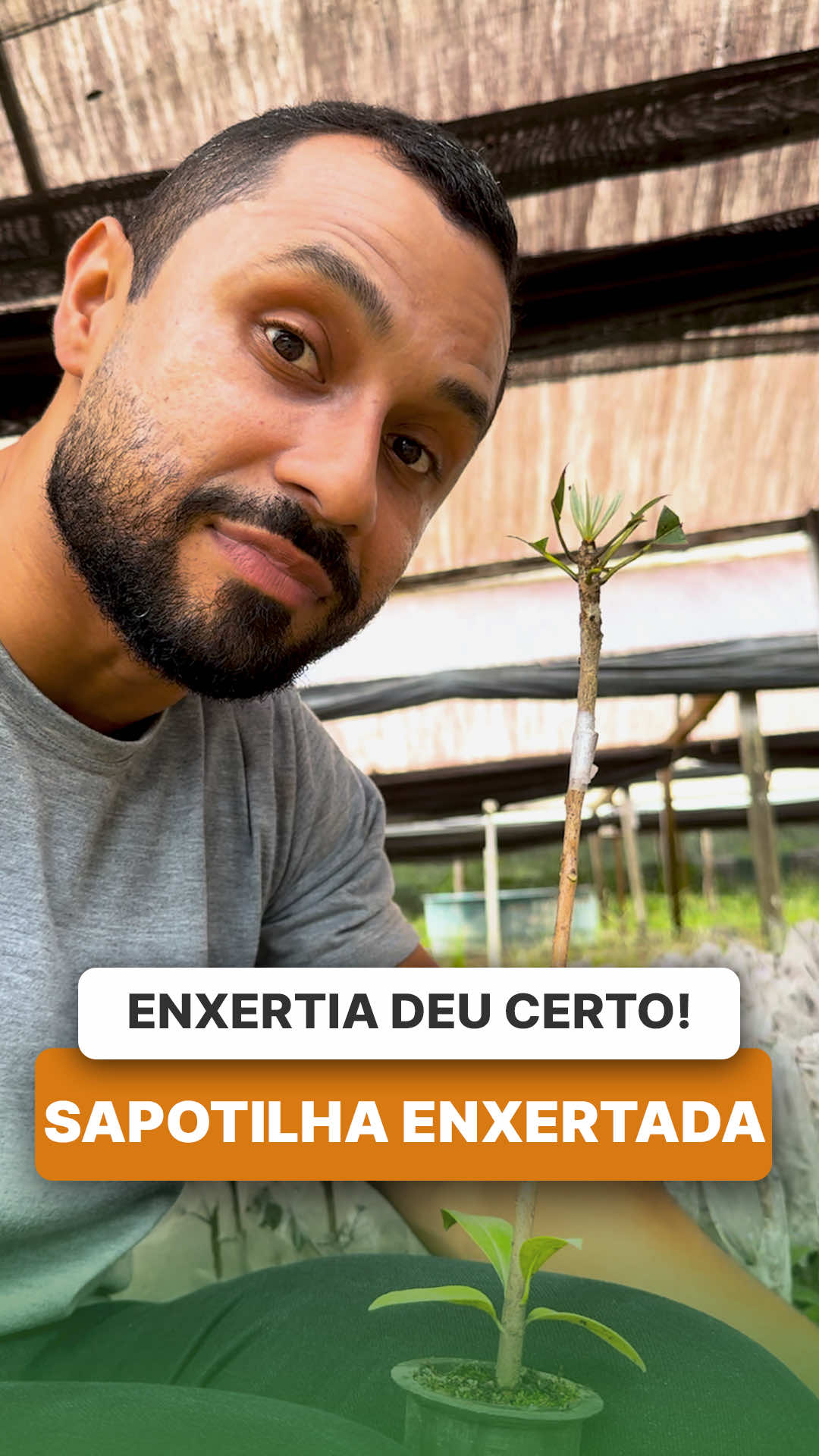 @ViveiroProMudas