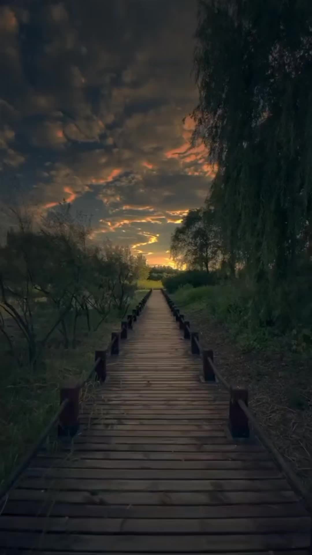 @Ивелина Недкова