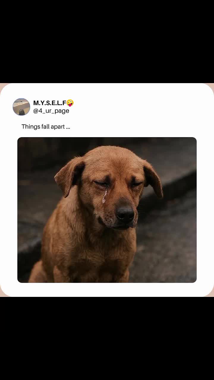 @M.Y.S.E.L.F🤪