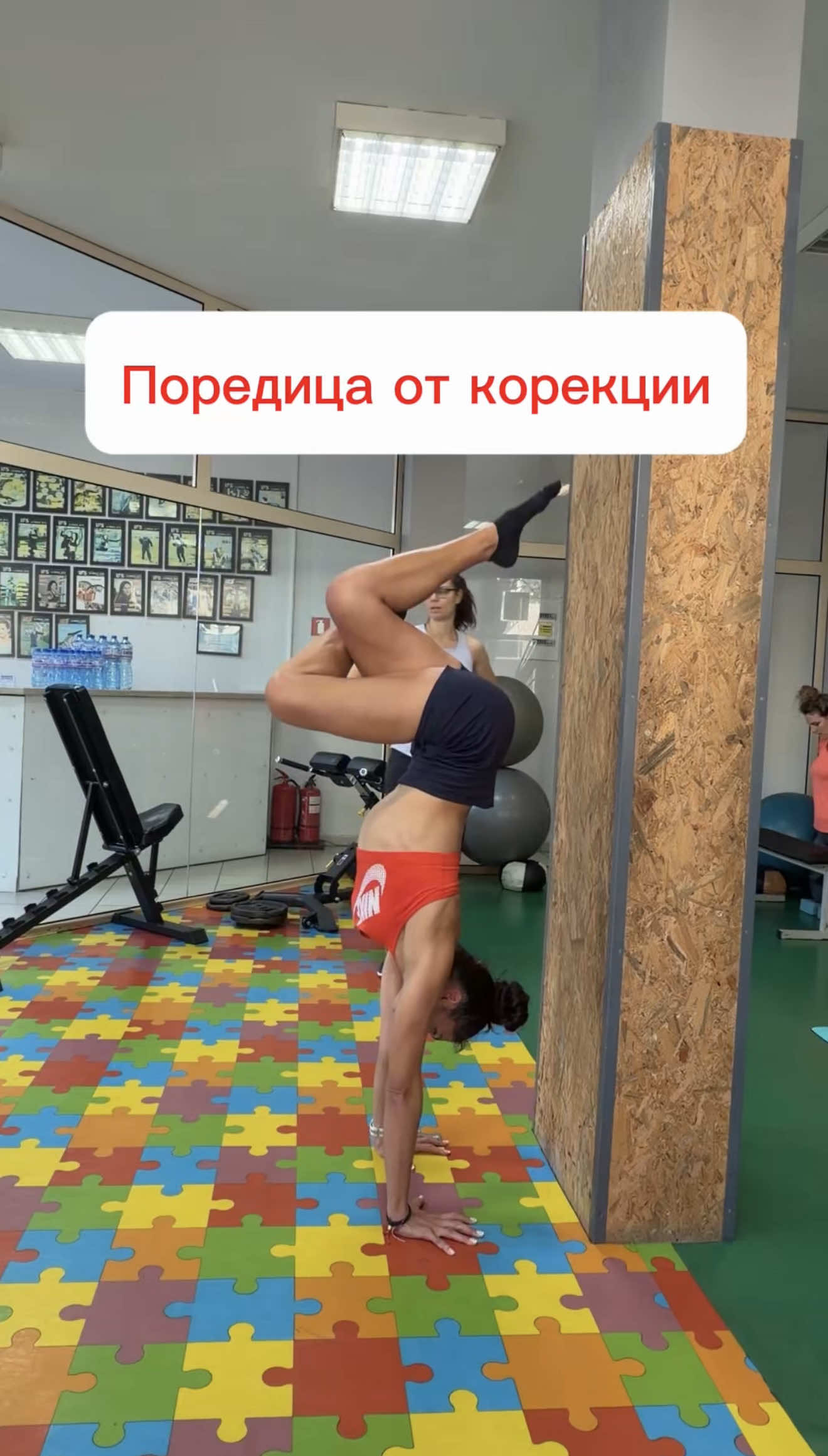 @Ines Subashka