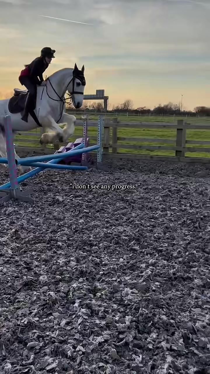 @horse