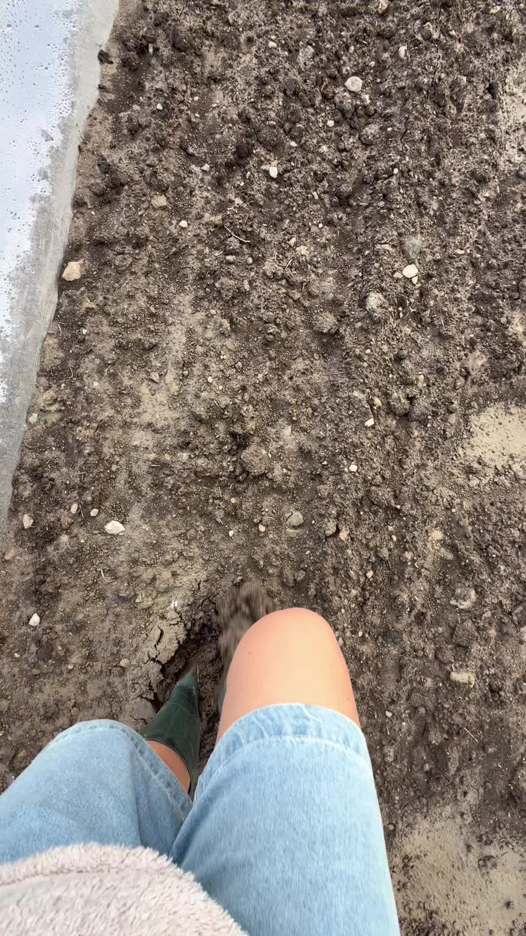 @ziemelemara