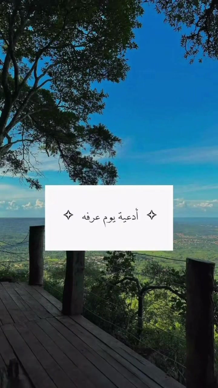 @وئام المشيقح