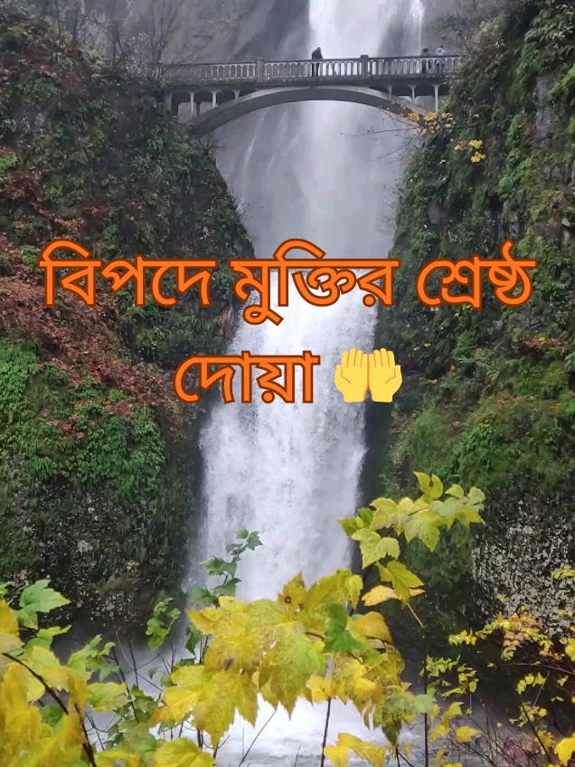 @Afroja Khatun