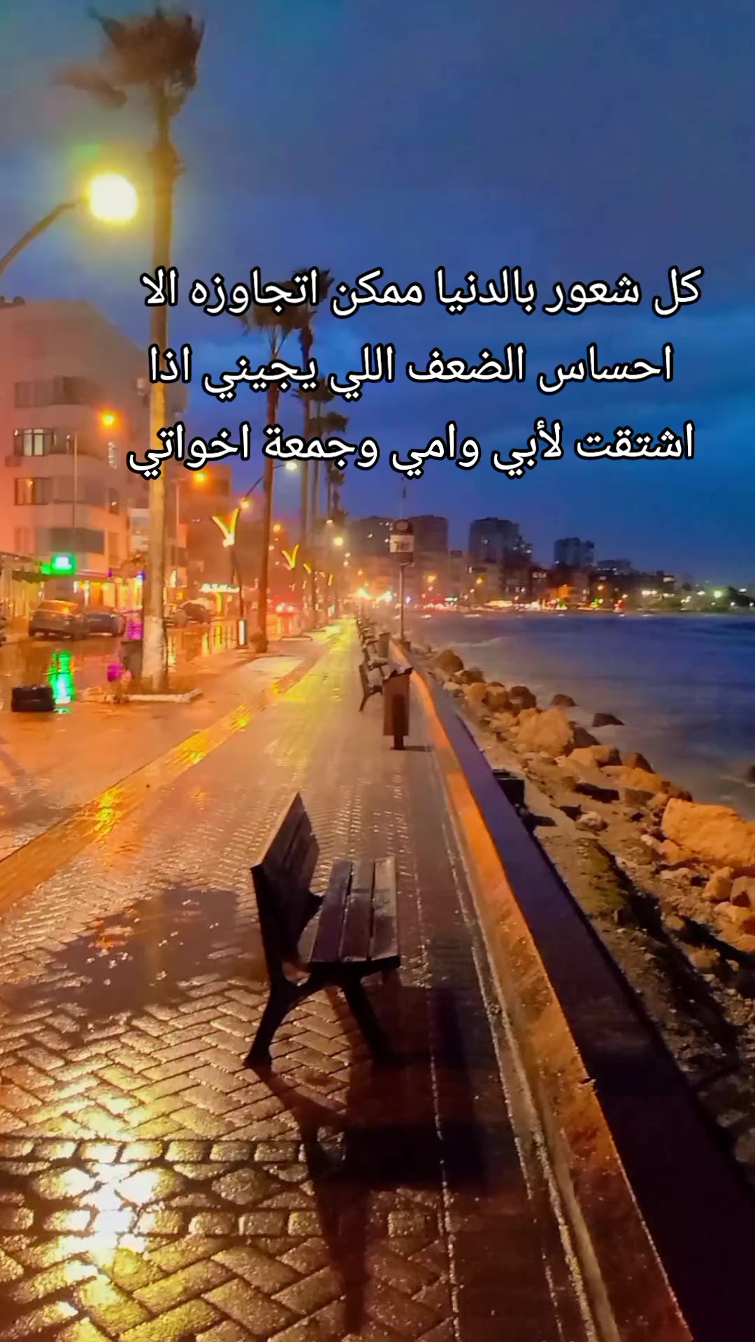 @بنت حلب