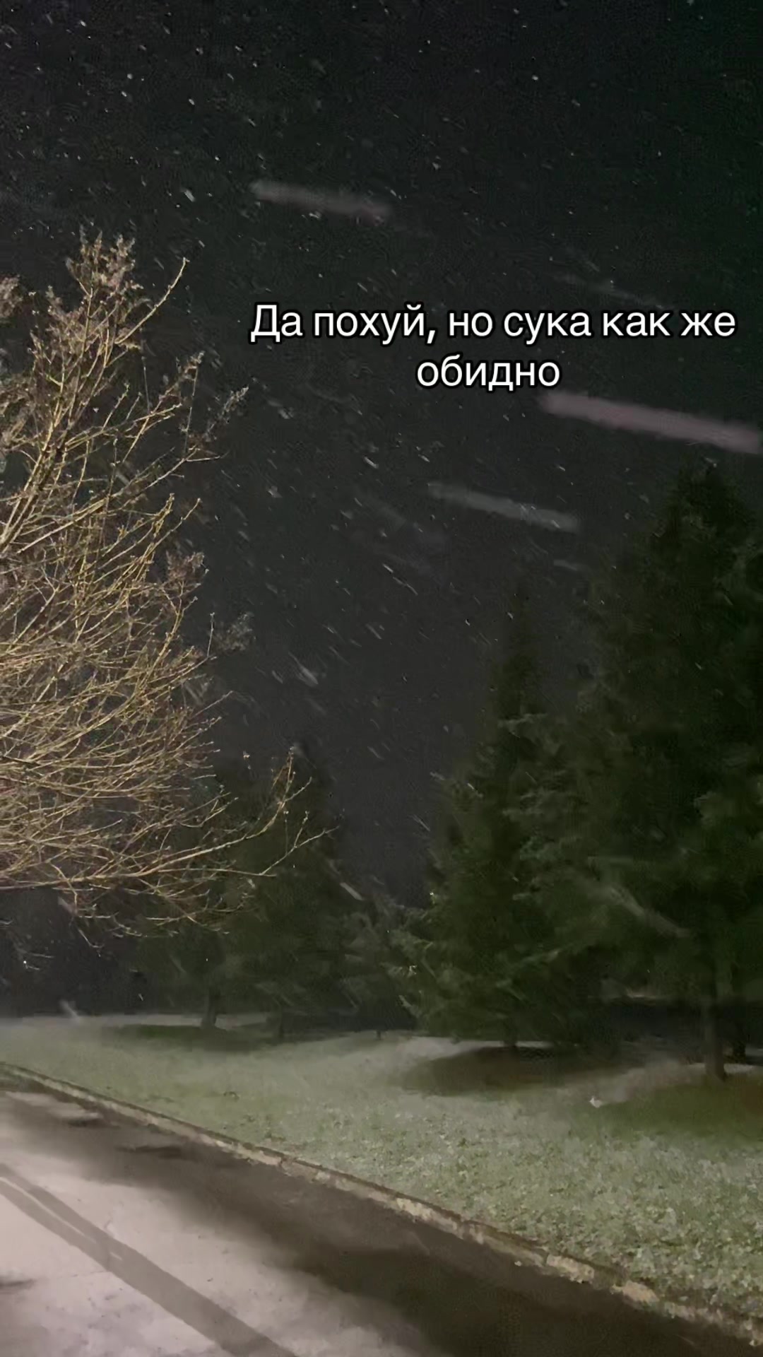 @fialka