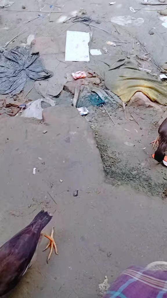 @Mehraj