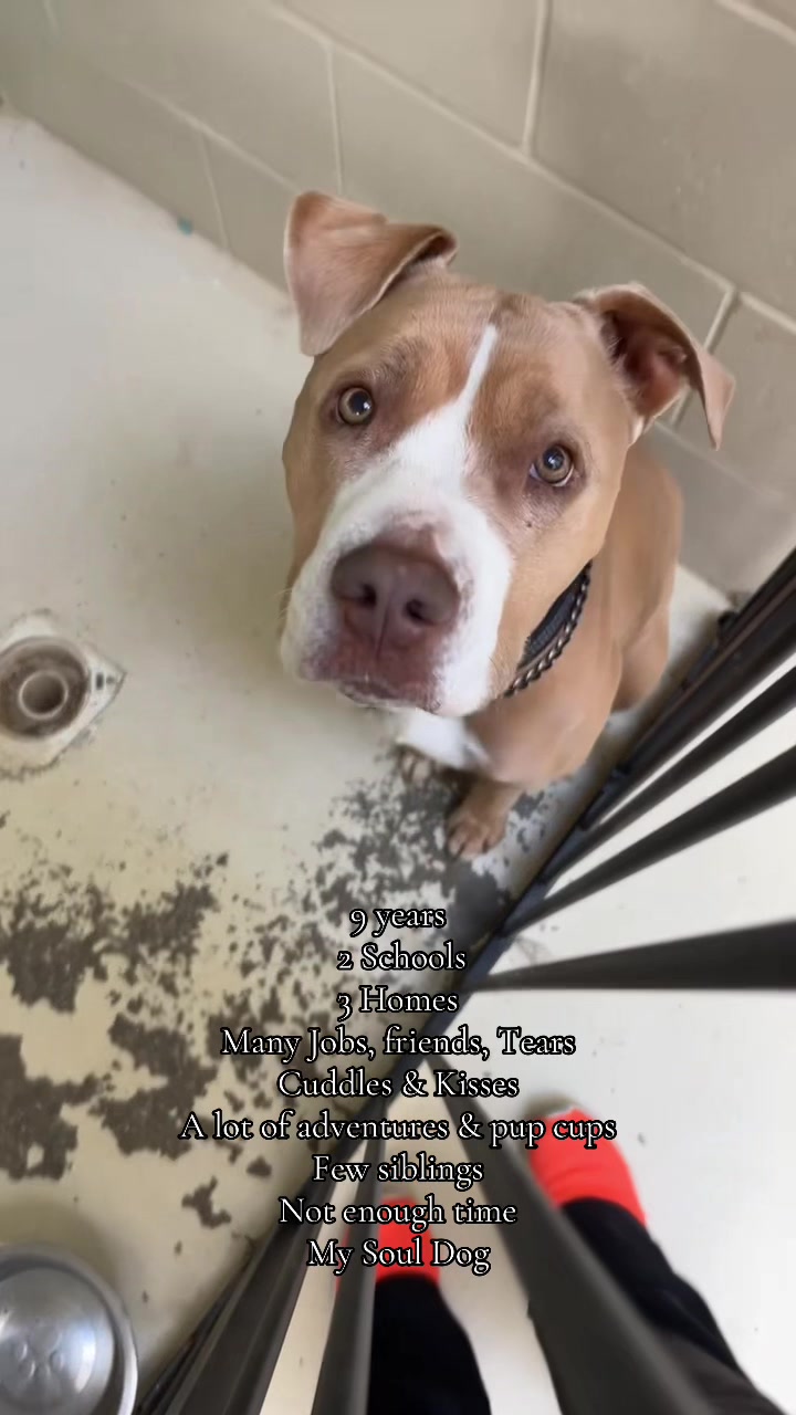 @𝓢🐾