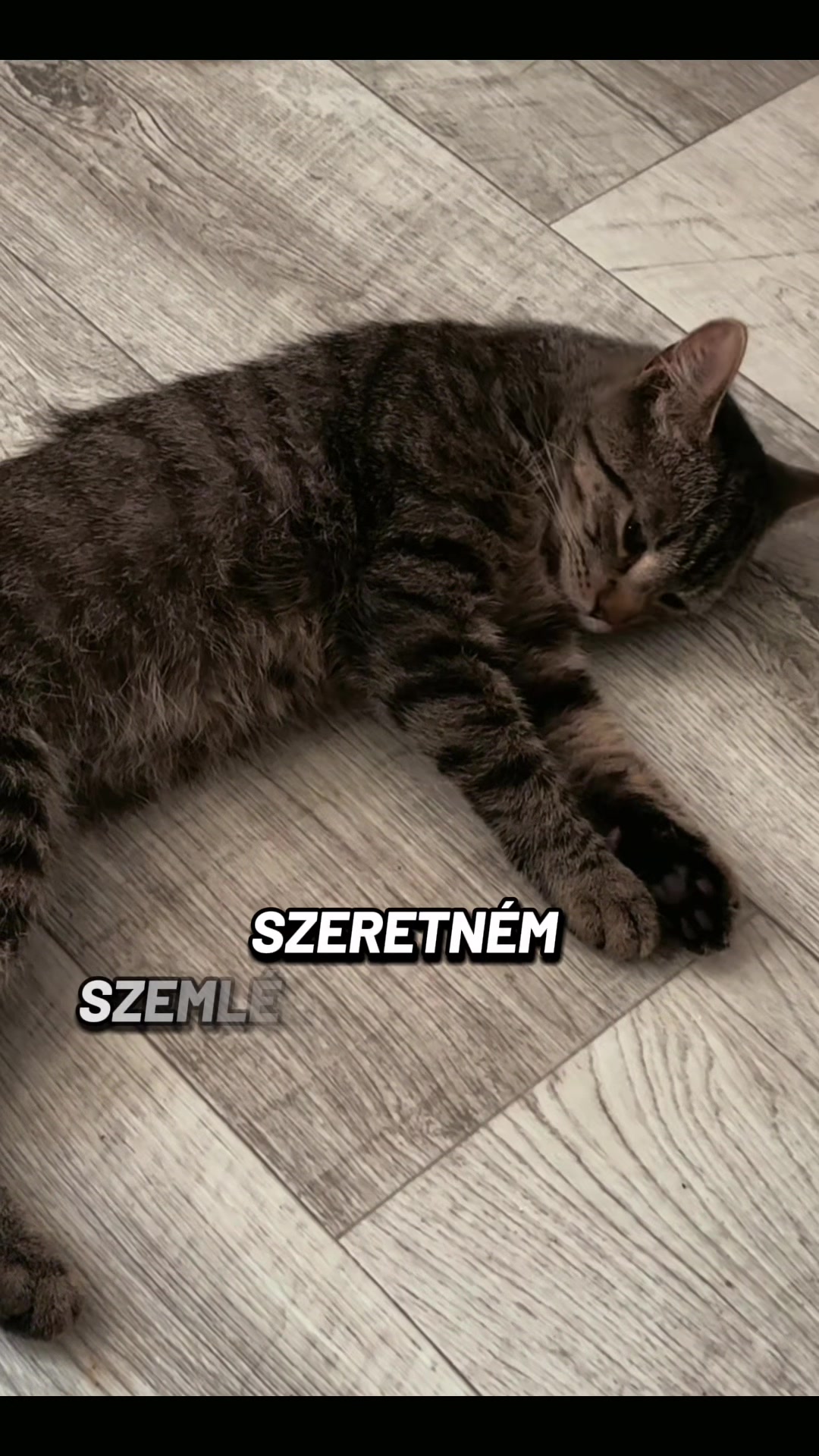 @K A P O S I E S Z T E R