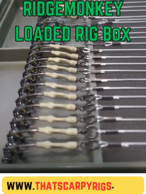 @Thats Carpy Rigs