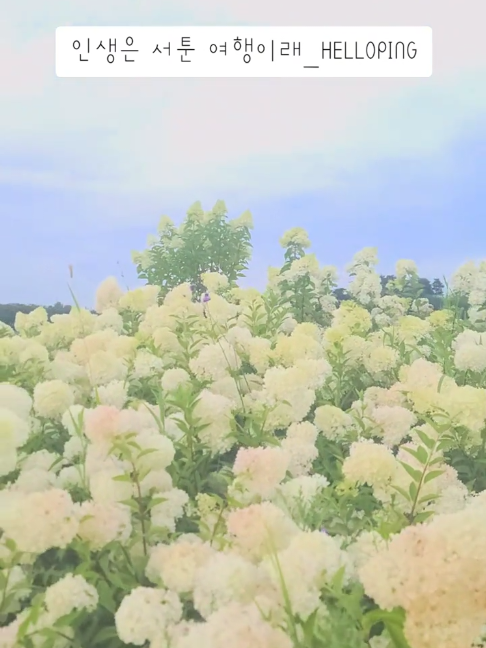 @[토박]할수있다