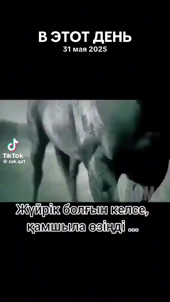 @Zhibek Abaibekova