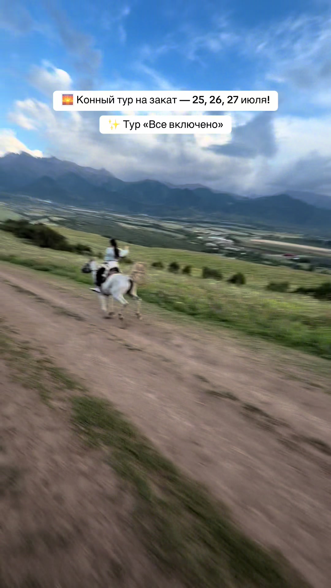 @tulpar_horses