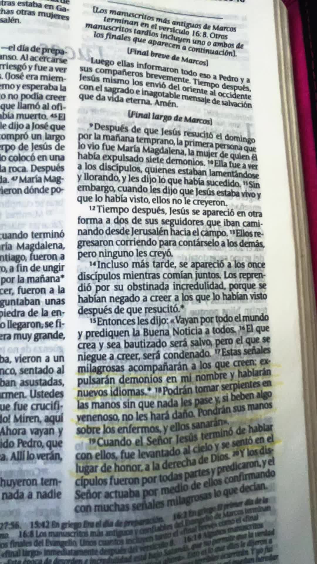 @Guillermina Batres