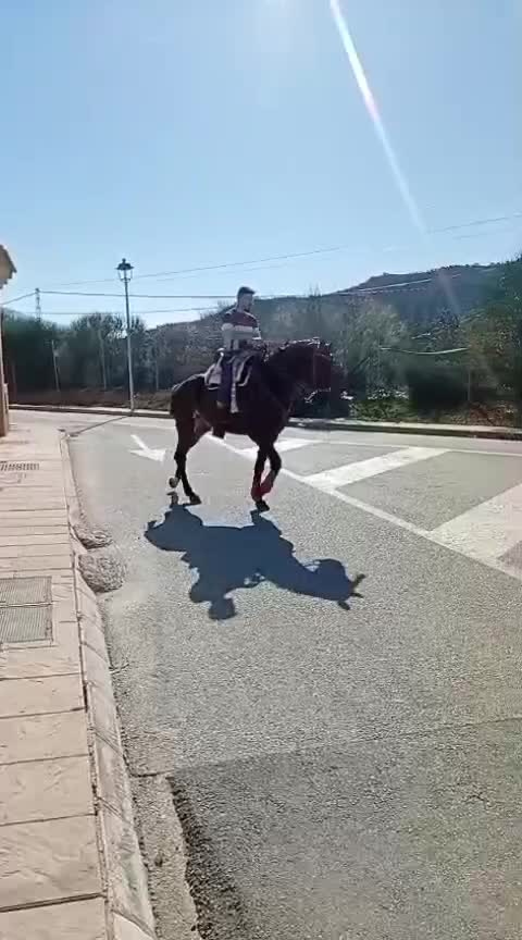 @antoncampos23