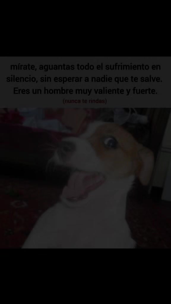 @mr.proyectadas