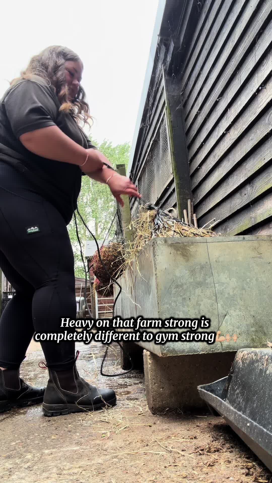 @Amy🐑🚜