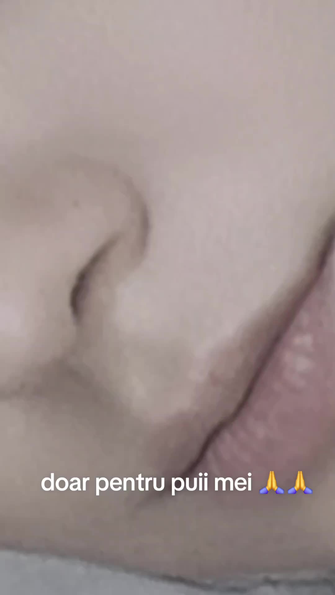 @Tigroaica lui Mona Meier