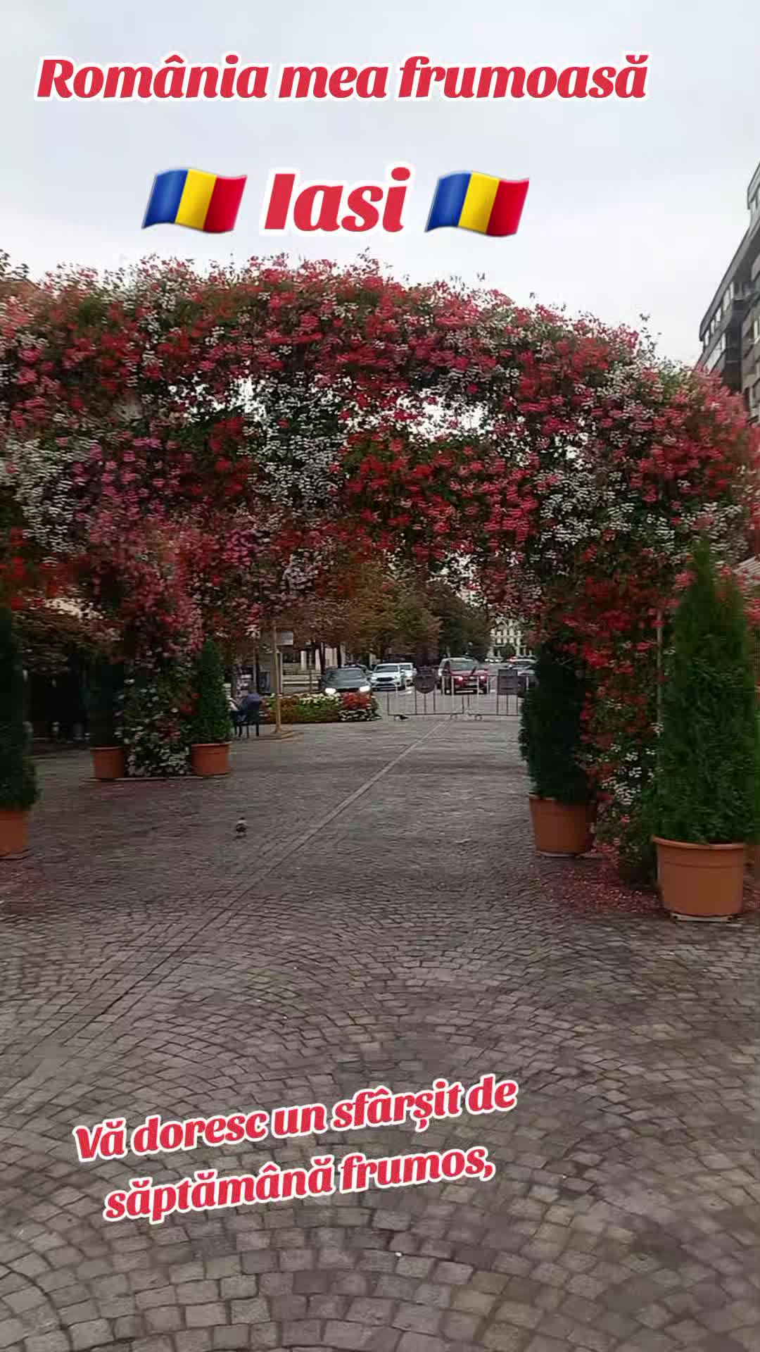 @@culita3