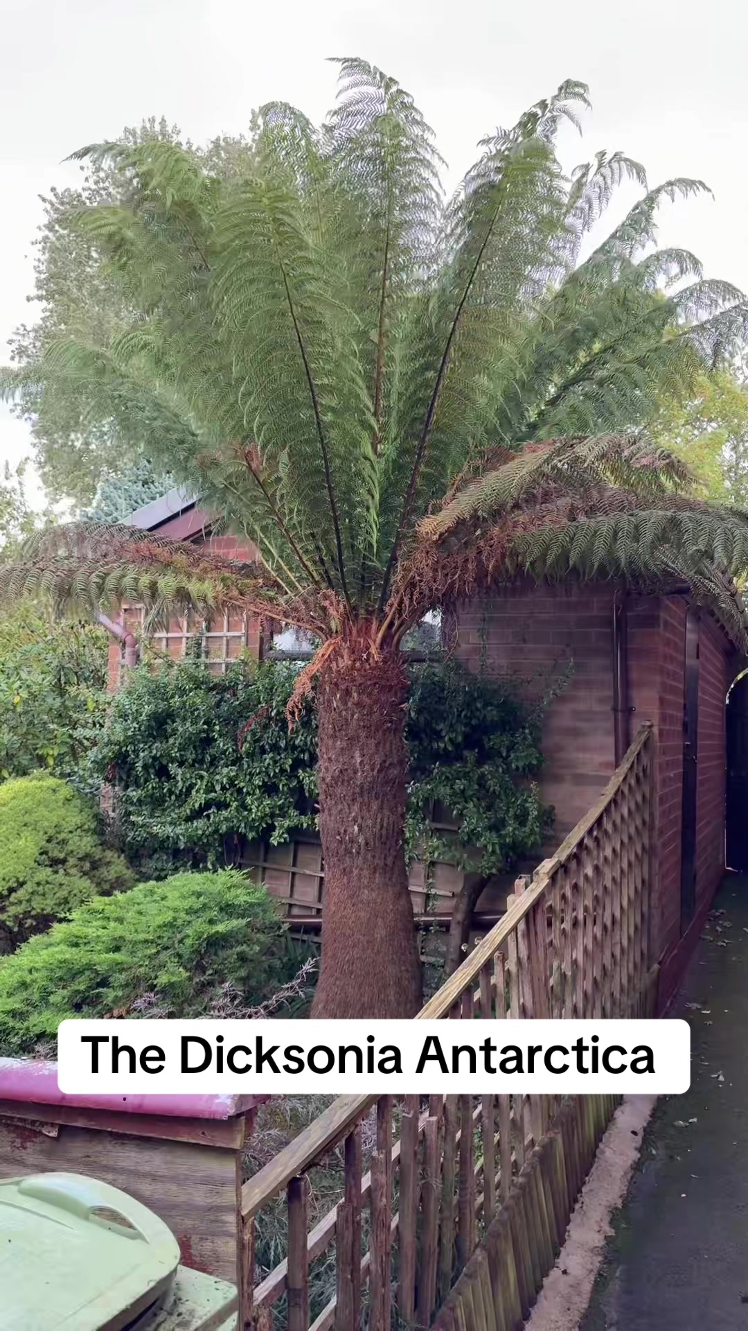 @GardenStyle