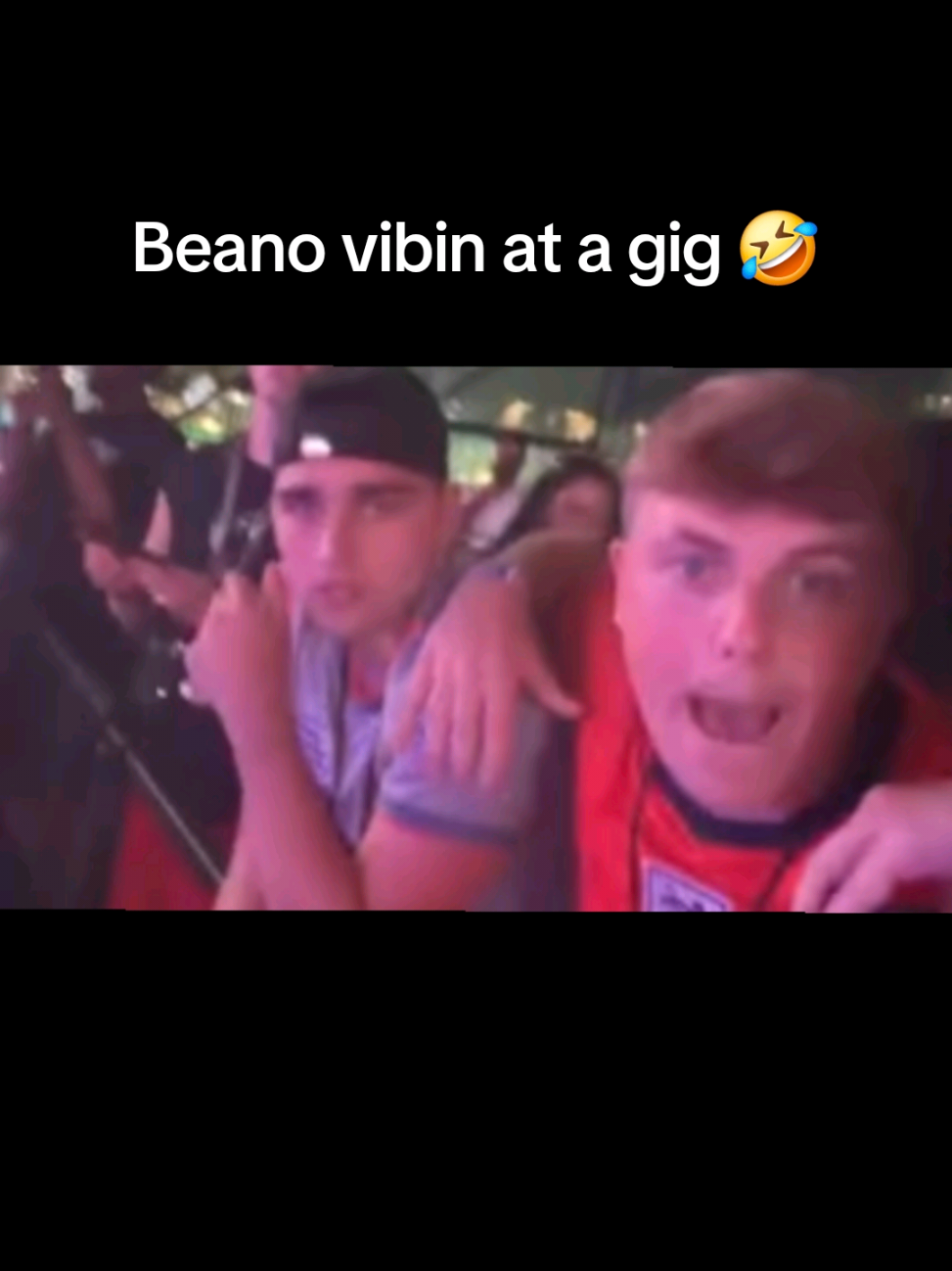 @ThreadedAmphibian ✨️🎟