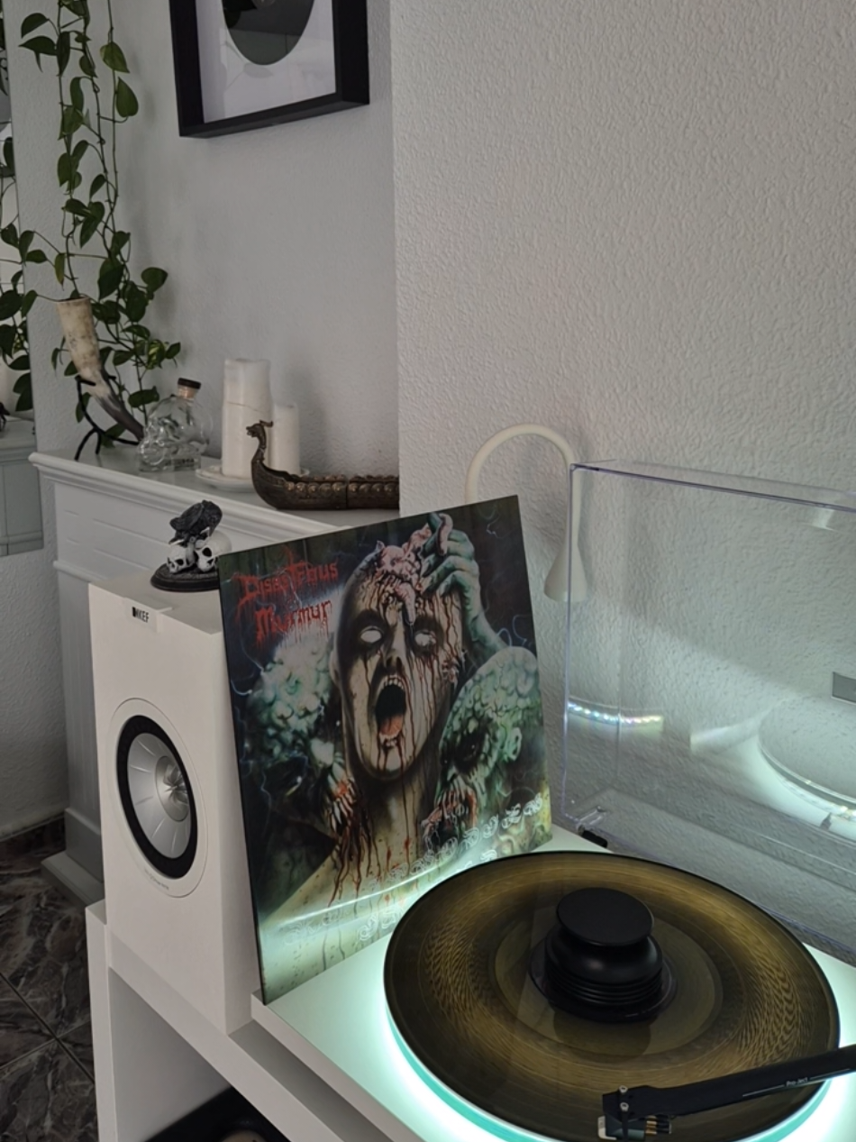 @r.vinylcollector