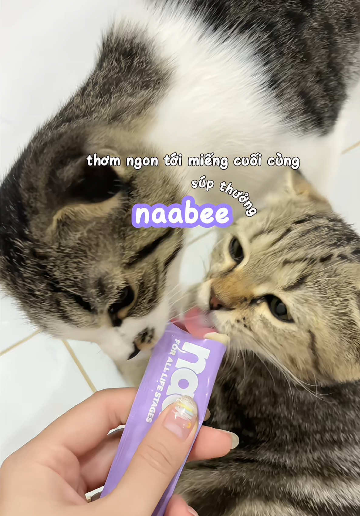 @𝓝𝓱𝓲 𝓤𝓷𝓫𝓸𝔁𝓲𝓷𝓰ᯓᡣ𐭩