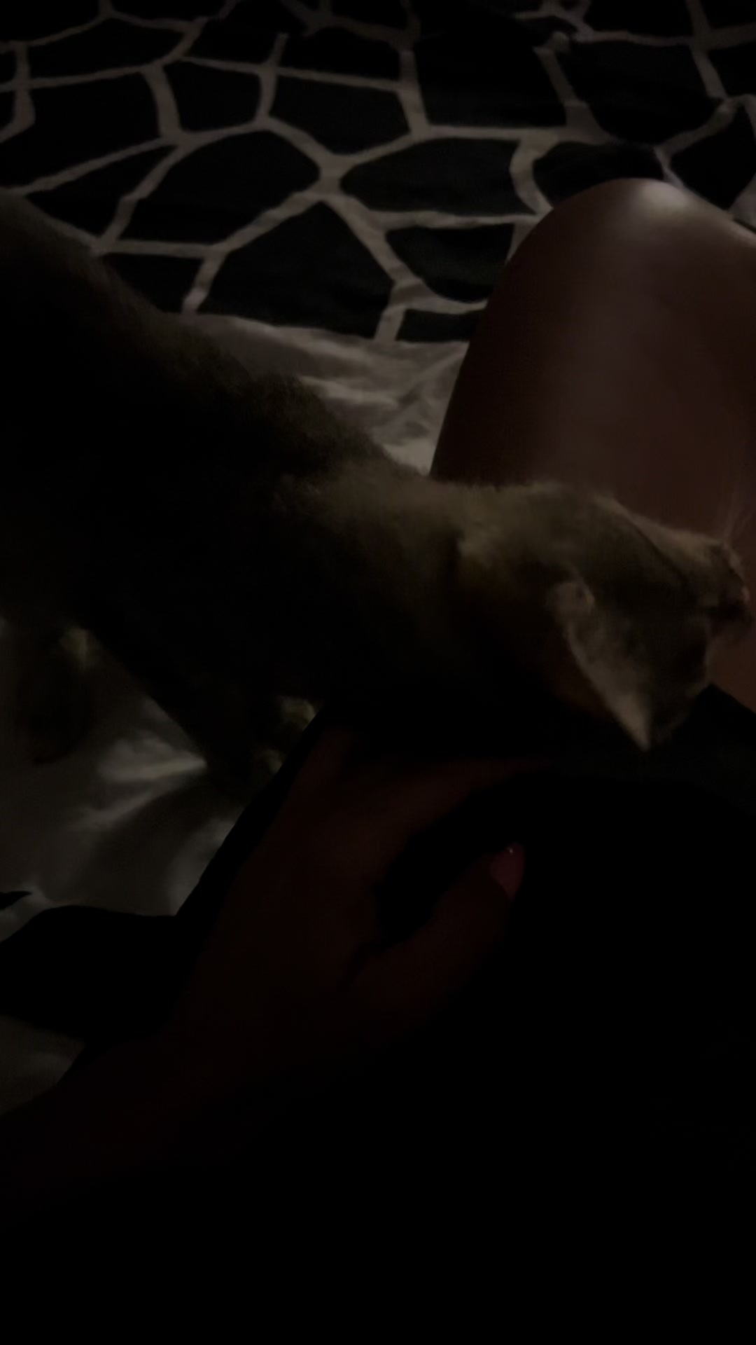 @xouliaaa