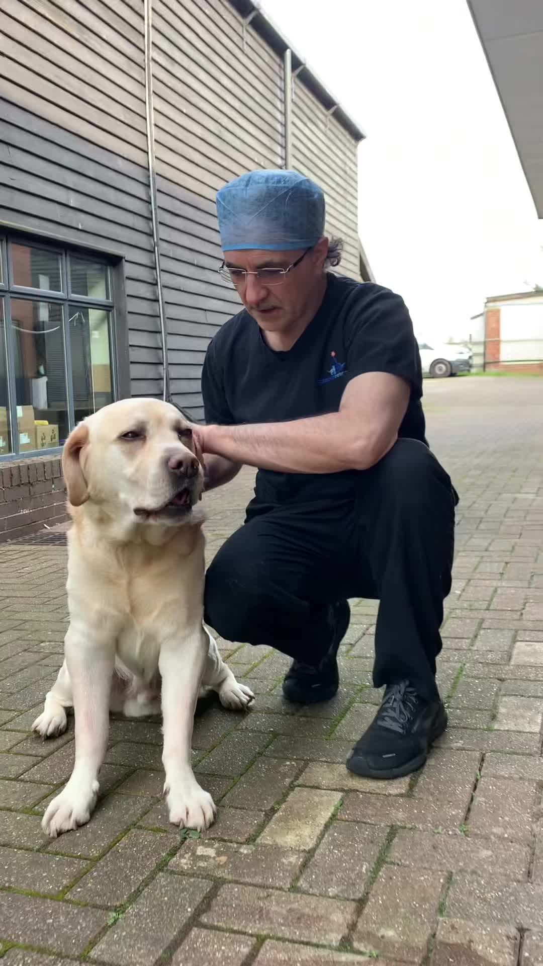 @profnoelfitzpatrick