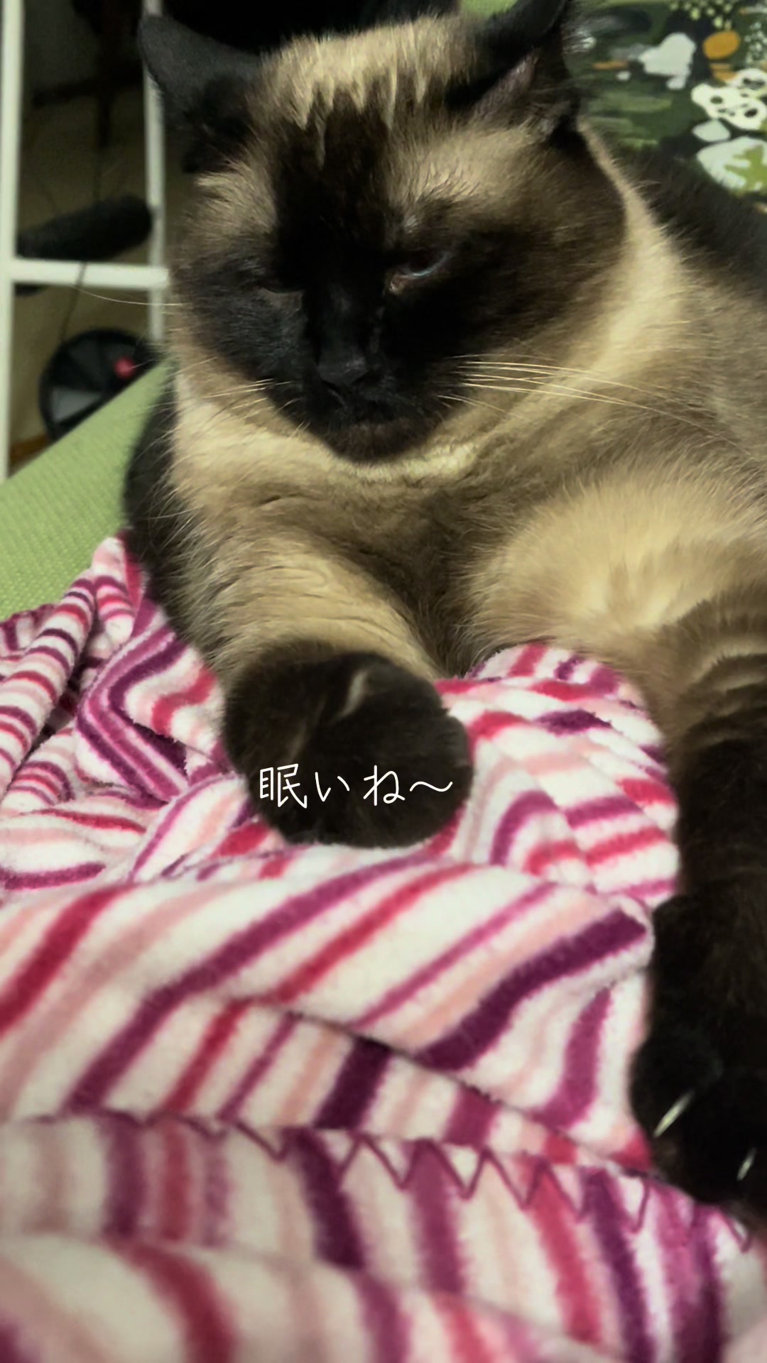 @sakurahana016