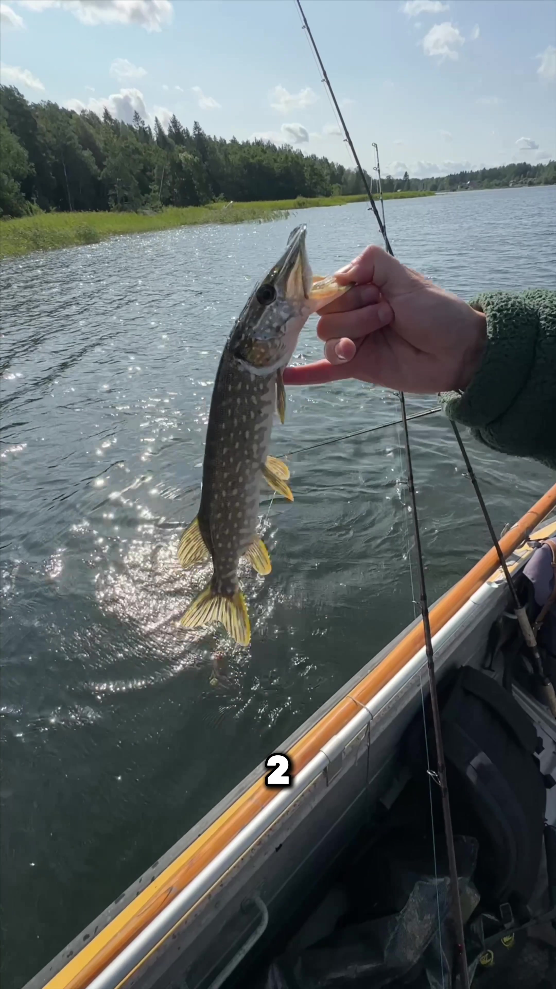 @AG Fishing