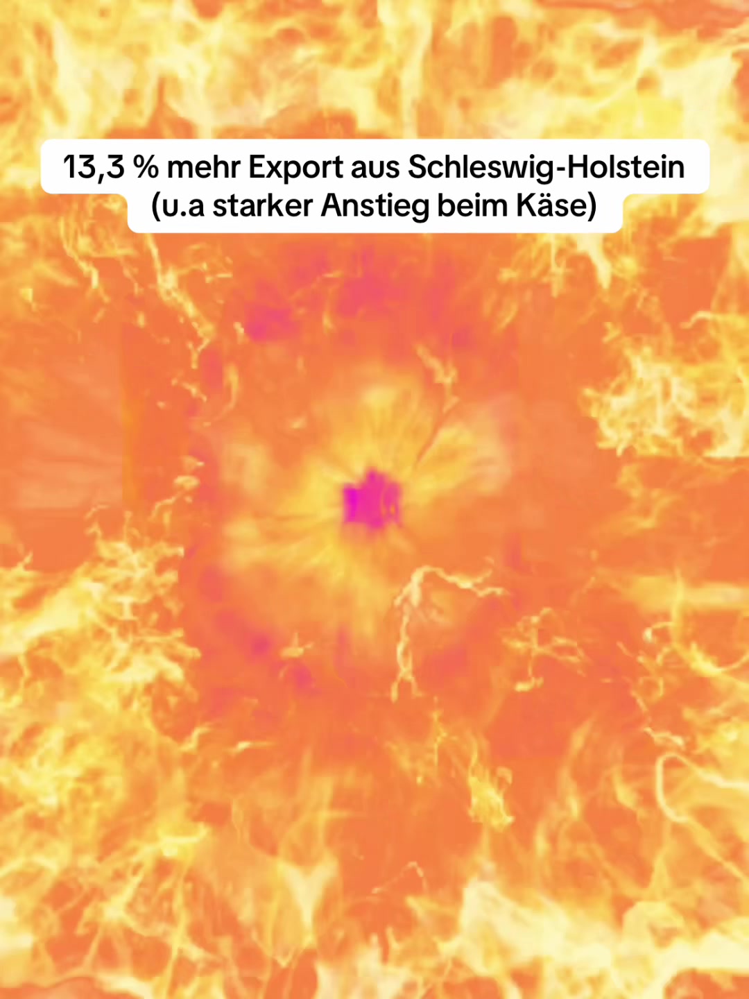 @Grüne Fraktion S.-H.