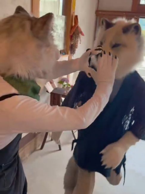 @radywolf