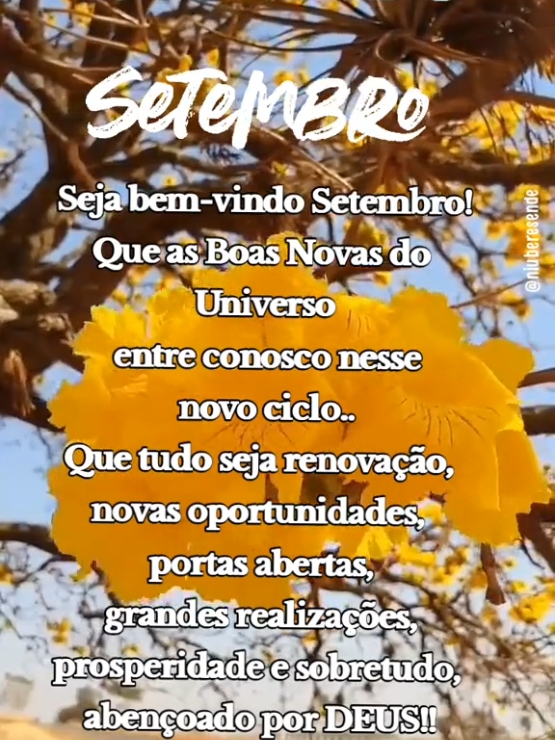 @Niube Resende💃👠📕🇧🇷🌻